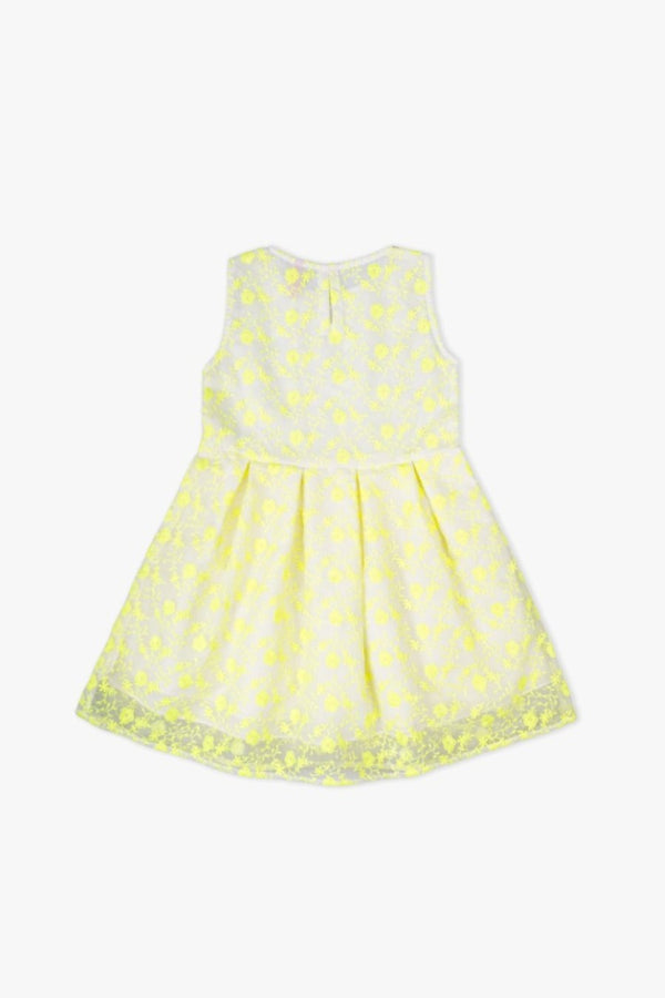 Embroidered Festive Frock