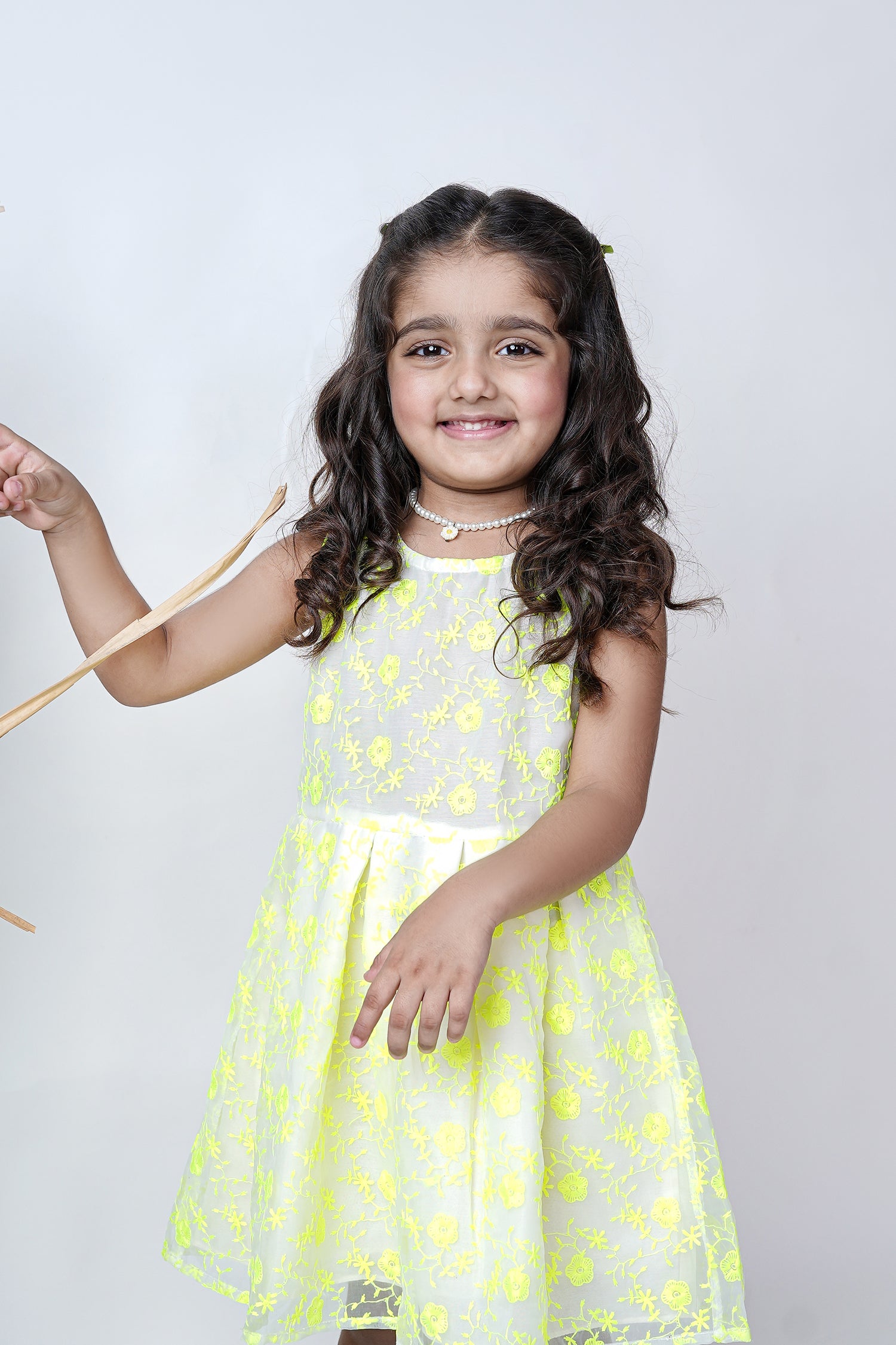 Embroidered Festive Frock